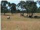 Lot 14 Springdale Road Glenlyon via, Stanthorpe QLD 4380