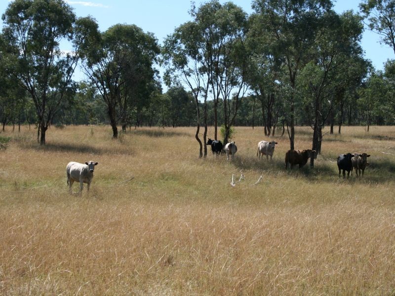 Lot 14 Springdale Road Glenlyon via, Stanthorpe QLD 4380