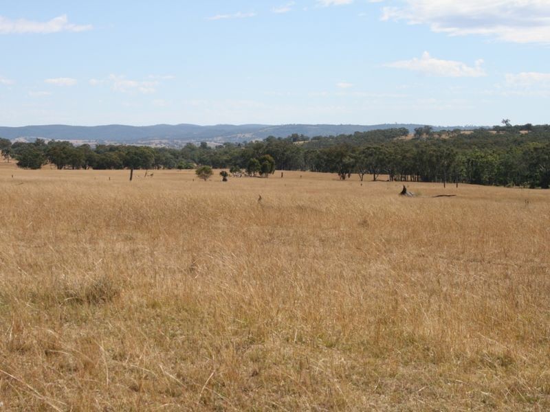 Lot 14 Springdale Road Glenlyon via, Stanthorpe QLD 4380