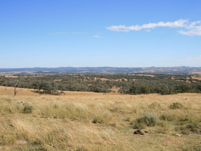 Lot 14 Springdale Road Glenlyon via, Stanthorpe QLD 4380