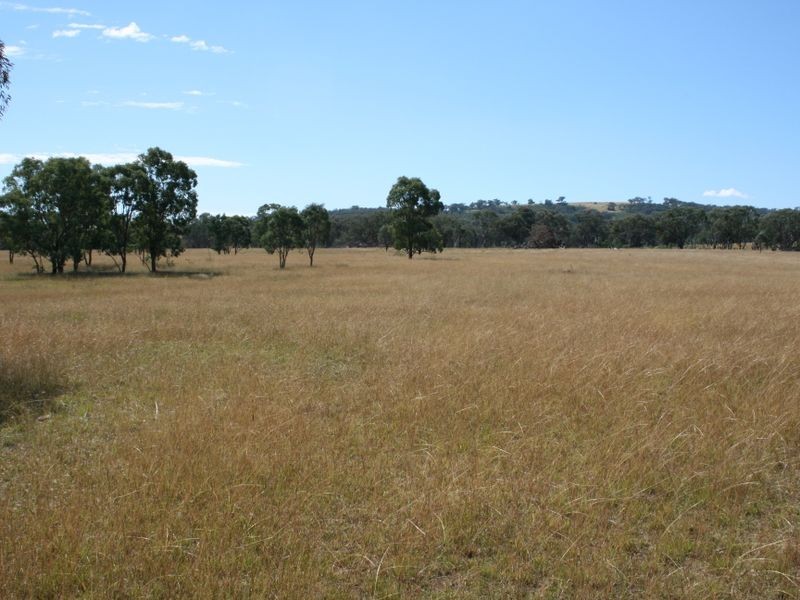 Lot 14 Springdale Road Glenlyon via, Stanthorpe QLD 4380