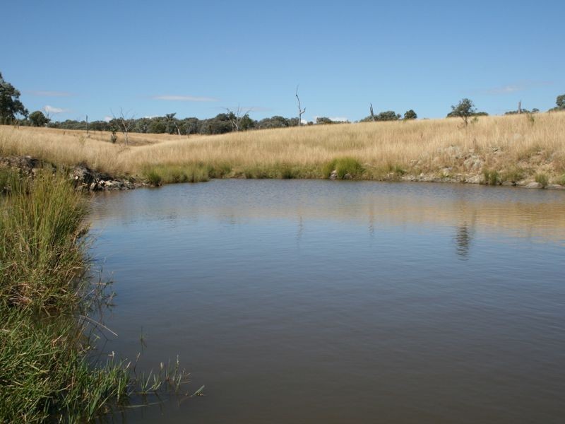 Lot 14 Springdale Road Glenlyon via, Stanthorpe QLD 4380