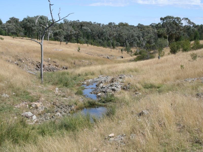 Lot 14 Springdale Road Glenlyon via, Stanthorpe QLD 4380
