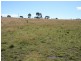 Lot 14 Springdale Road Glenlyon via, Stanthorpe QLD 4380