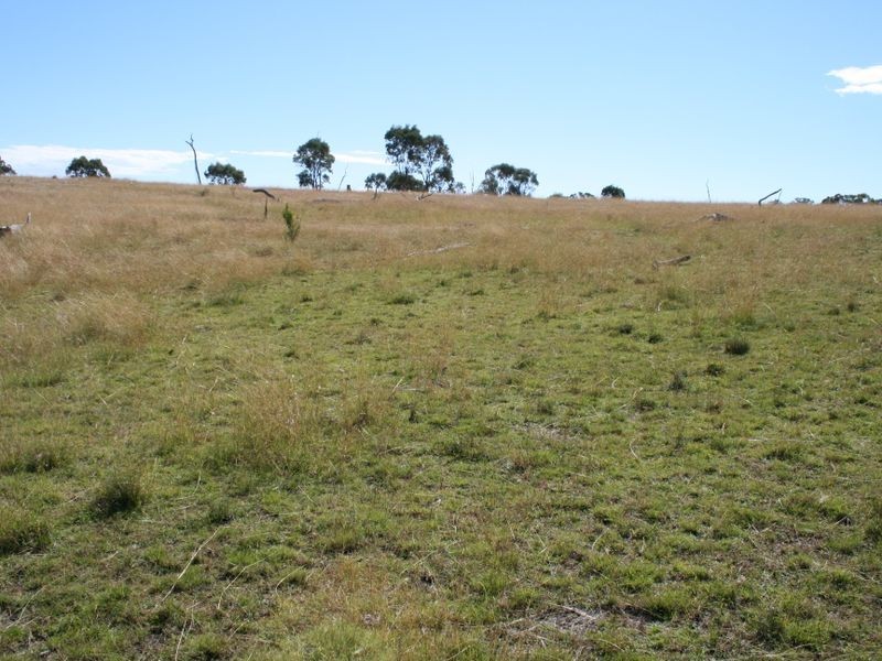 Lot 14 Springdale Road Glenlyon via, Stanthorpe QLD 4380