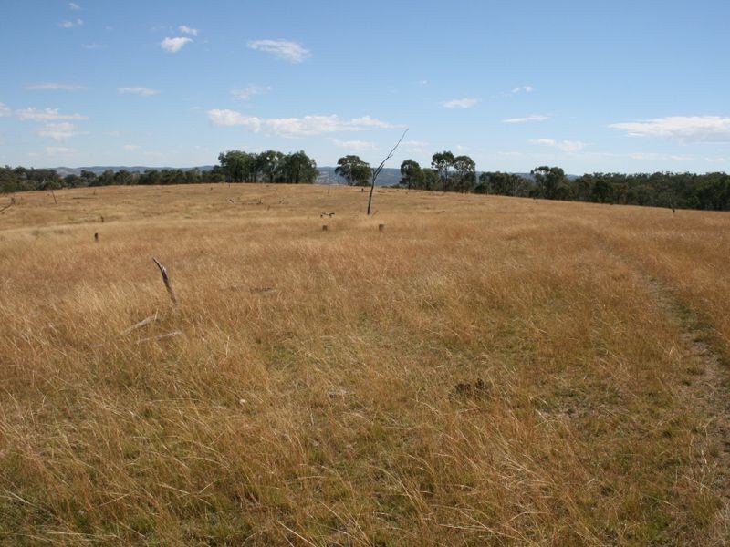 Lot 14 Springdale Road Glenlyon via, Stanthorpe QLD 4380
