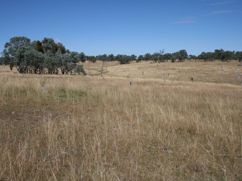 Lot 14 Springdale Road Glenlyon via, Stanthorpe QLD 4380