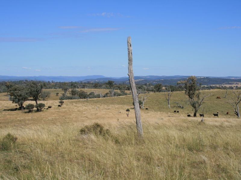 Lot 14 Springdale Road Glenlyon via, Stanthorpe QLD 4380