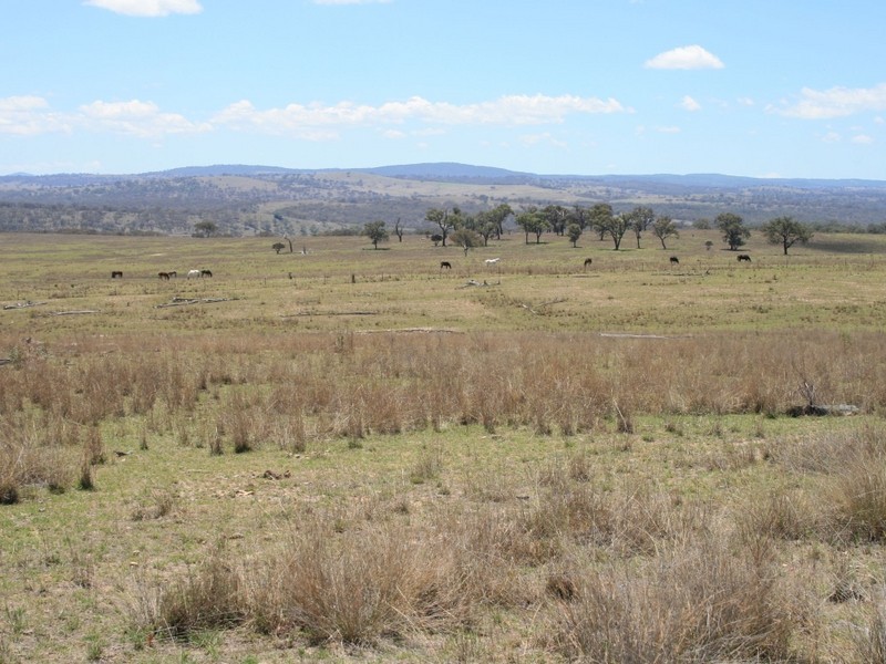 Stanthorpe QLD 4380