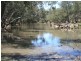 Stanthorpe QLD 4380