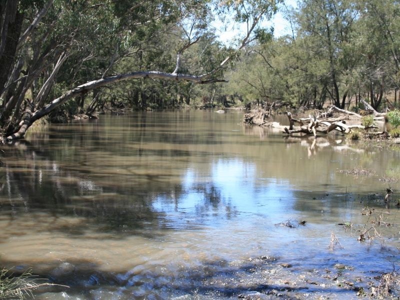 Stanthorpe QLD 4380