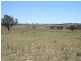 Stanthorpe QLD 4380