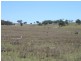 Stanthorpe QLD 4380