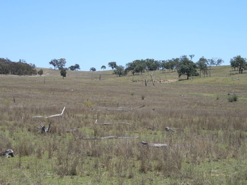Stanthorpe QLD 4380