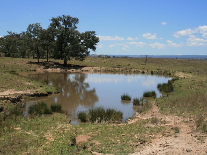 Stanthorpe QLD 4380