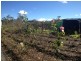 Maryvale QLD 4370