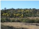 Lot 9 Cunningham Highway Karara via, Warwick QLD 4370