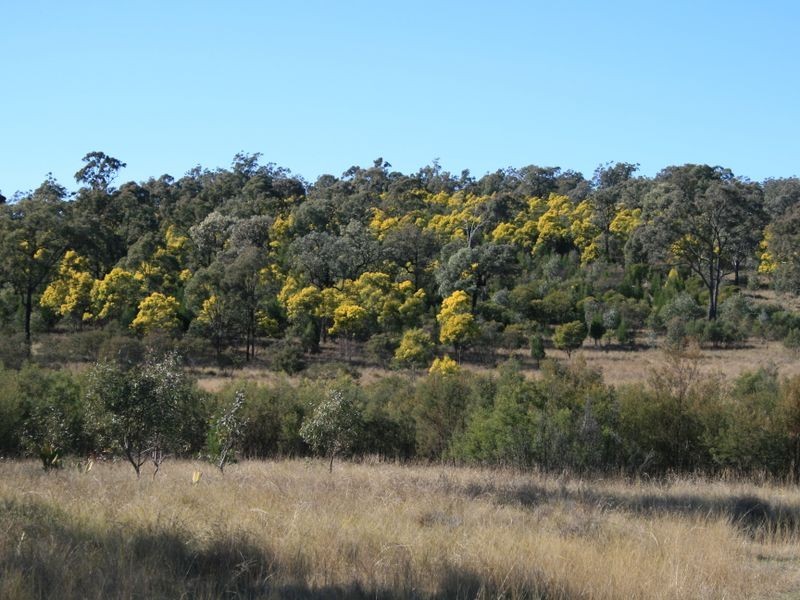 Lot 9 Cunningham Highway Karara via, Warwick QLD 4370