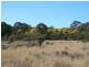 Lot 9 Cunningham Highway Karara via, Warwick QLD 4370