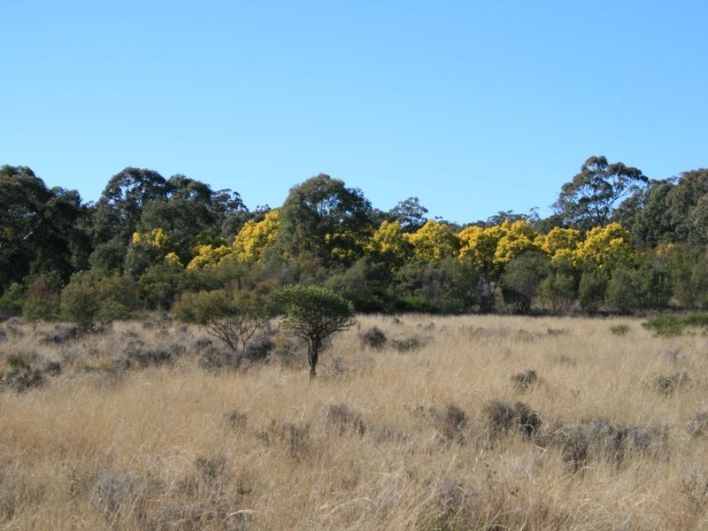 Lot 9 Cunningham Highway Karara via, Warwick QLD 4370