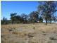 Lot 9 Cunningham Highway Karara via, Warwick QLD 4370