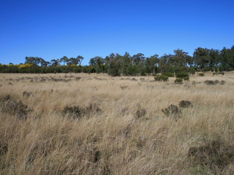 Lot 9 Cunningham Highway Karara via, Warwick QLD 4370