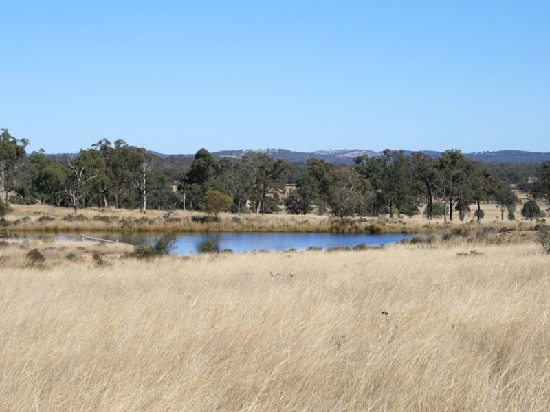 Lot 9 Cunningham Highway Karara via, Warwick QLD 4370