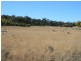 Lot 9 Cunningham Highway Karara via, Warwick QLD 4370