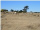Lot 9 Cunningham Highway Karara via, Warwick QLD 4370