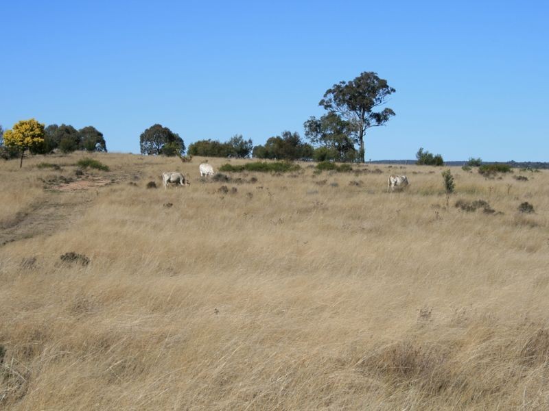 Lot 9 Cunningham Highway Karara via, Warwick QLD 4370