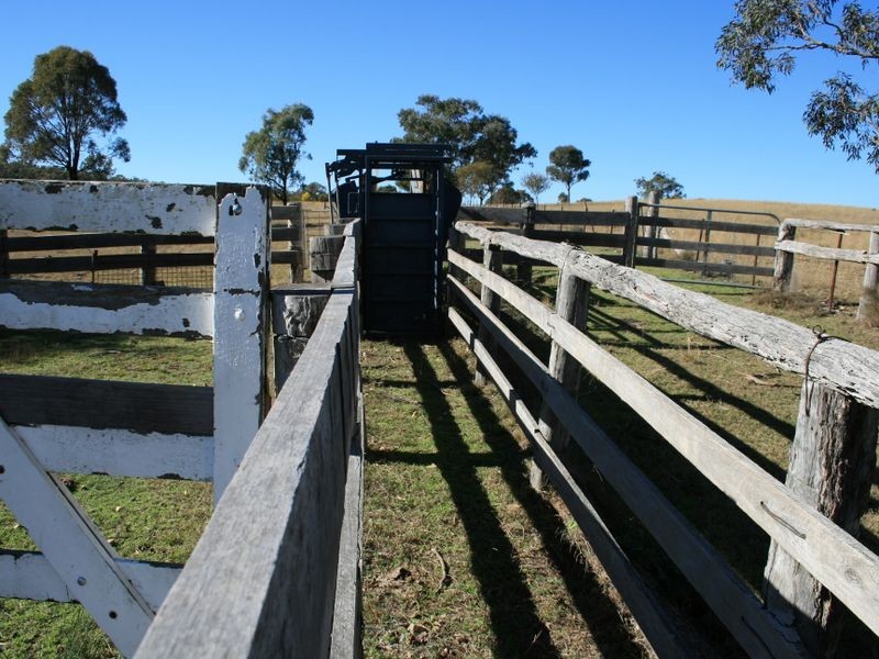 Lot 9 Cunningham Highway Karara via, Warwick QLD 4370