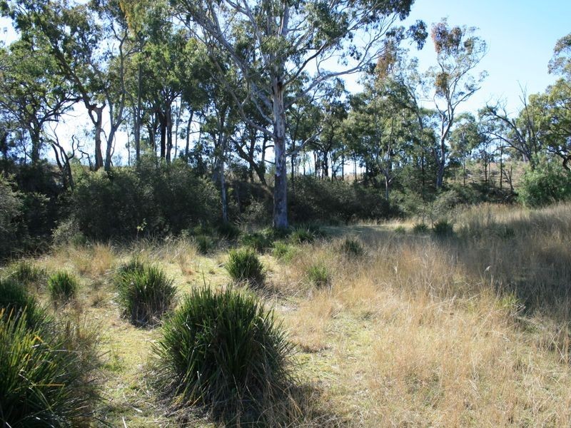 Lot 10 Rockdale Road, Karara QLD 4352
