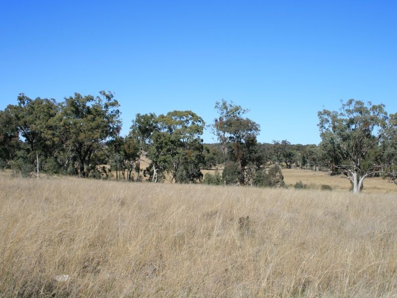 Lot 10 Rockdale Road, Karara QLD 4352