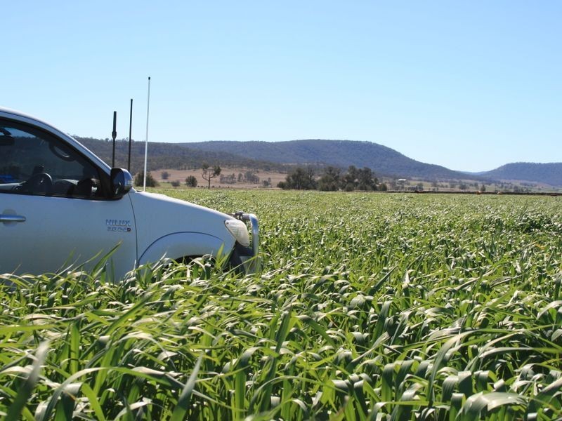 Warwick QLD 4370