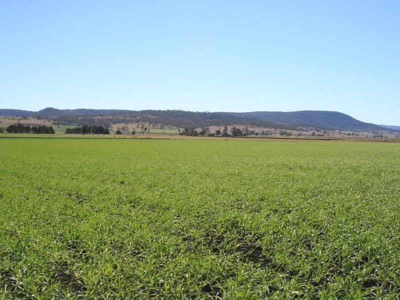 Warwick QLD 4370