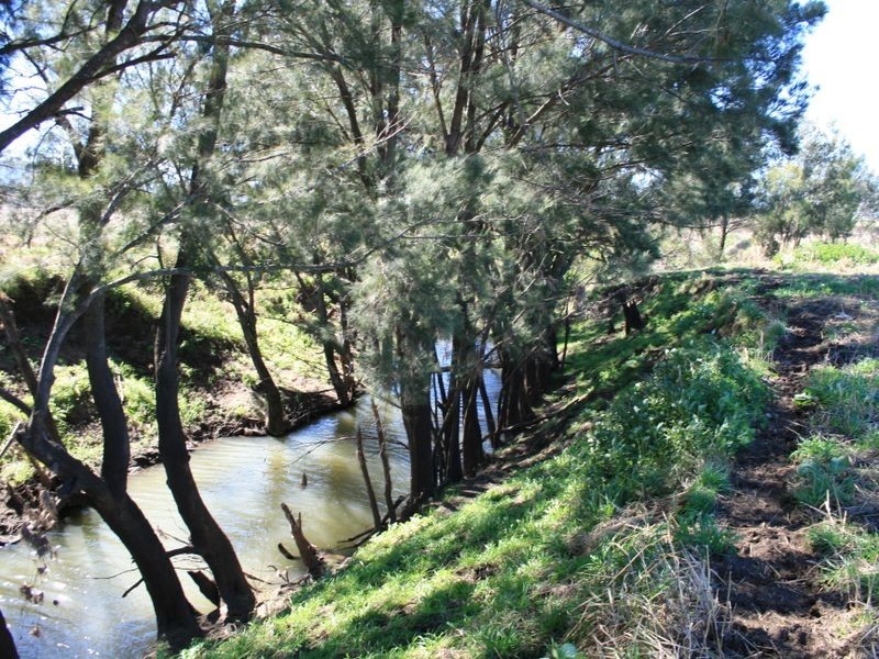 Warwick QLD 4370