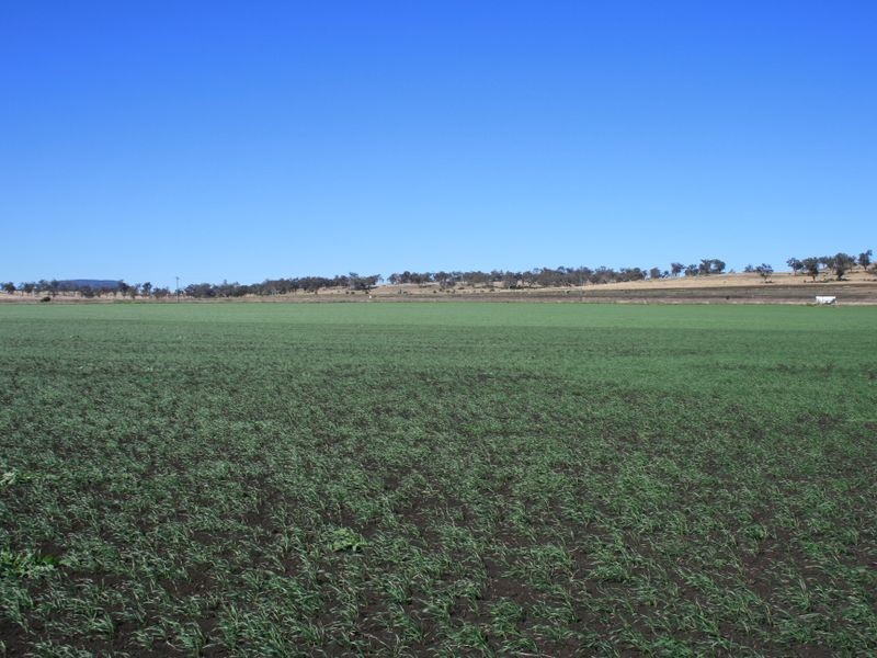 Warwick QLD 4370