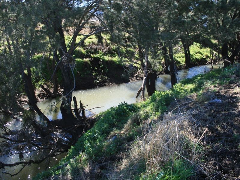 Warwick QLD 4370