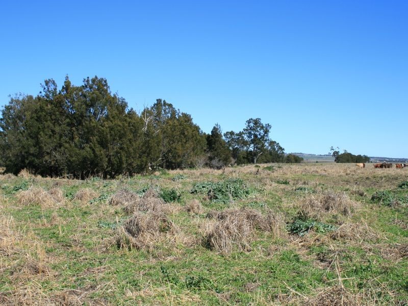 Warwick QLD 4370