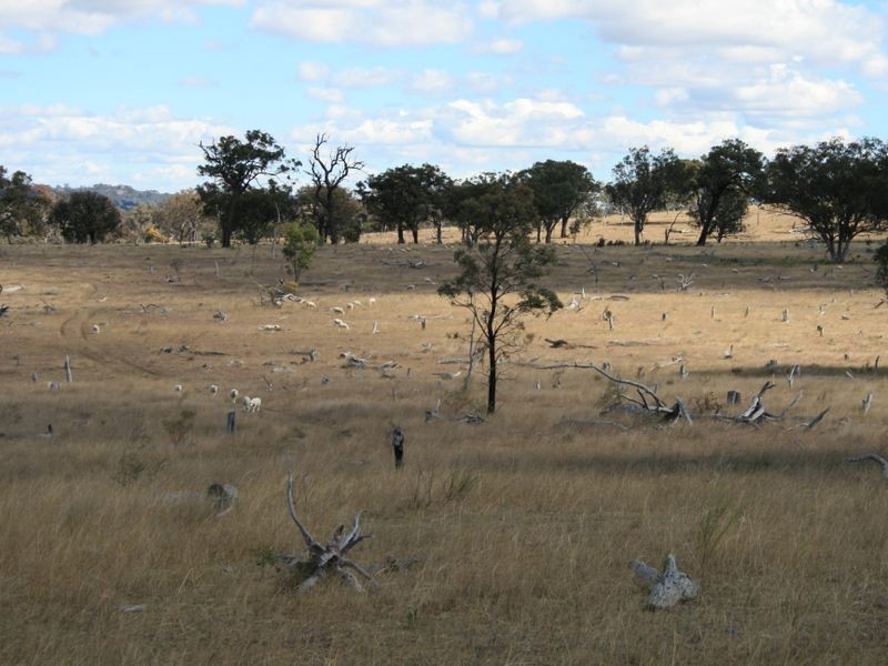 Lot 19 Springdale Road, Stanthorpe QLD 4380