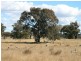 Lot 19 Springdale Road, Stanthorpe QLD 4380