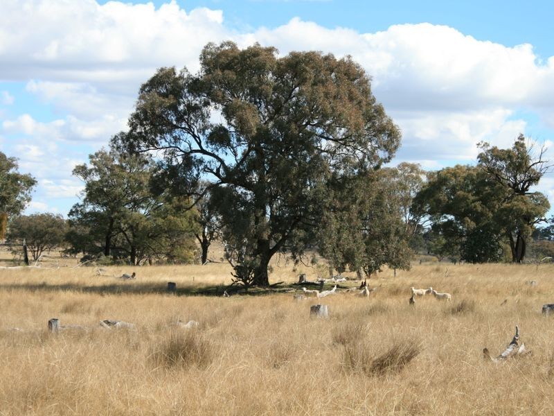 Lot 19 Springdale Road, Stanthorpe QLD 4380
