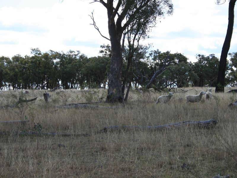 Lot 19 Springdale Road, Stanthorpe QLD 4380