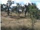 Lot 19 Springdale Road, Stanthorpe QLD 4380