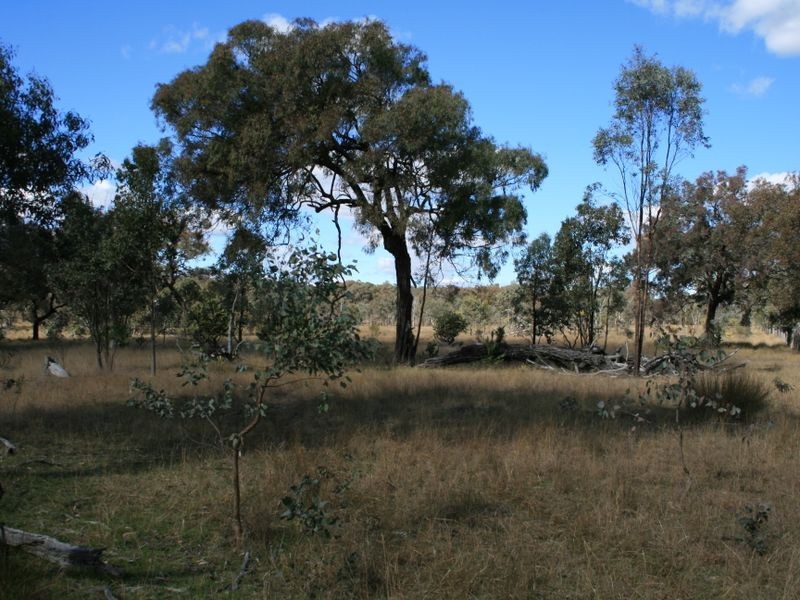 Lot 19 Springdale Road, Stanthorpe QLD 4380