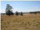 Pinegrove Mt Lindsay Highway, Wylie Creek NSW 2372