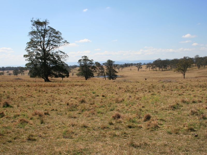 Pinegrove Mt Lindsay Highway, Wylie Creek NSW 2372