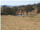 Pinegrove Mt Lindsay Highway, Wylie Creek NSW 2372