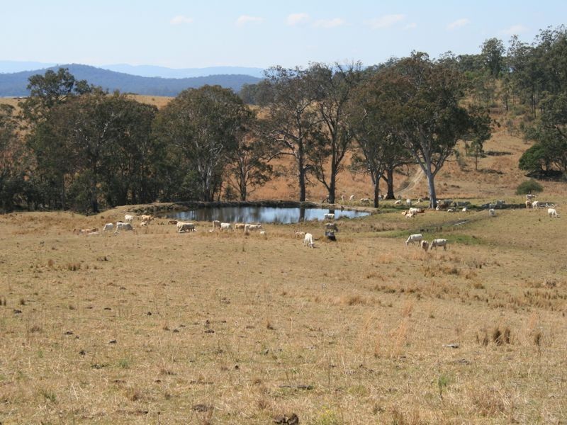 Pinegrove Mt Lindsay Highway, Wylie Creek NSW 2372