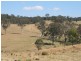 Pinegrove Mt Lindsay Highway, Wylie Creek NSW 2372